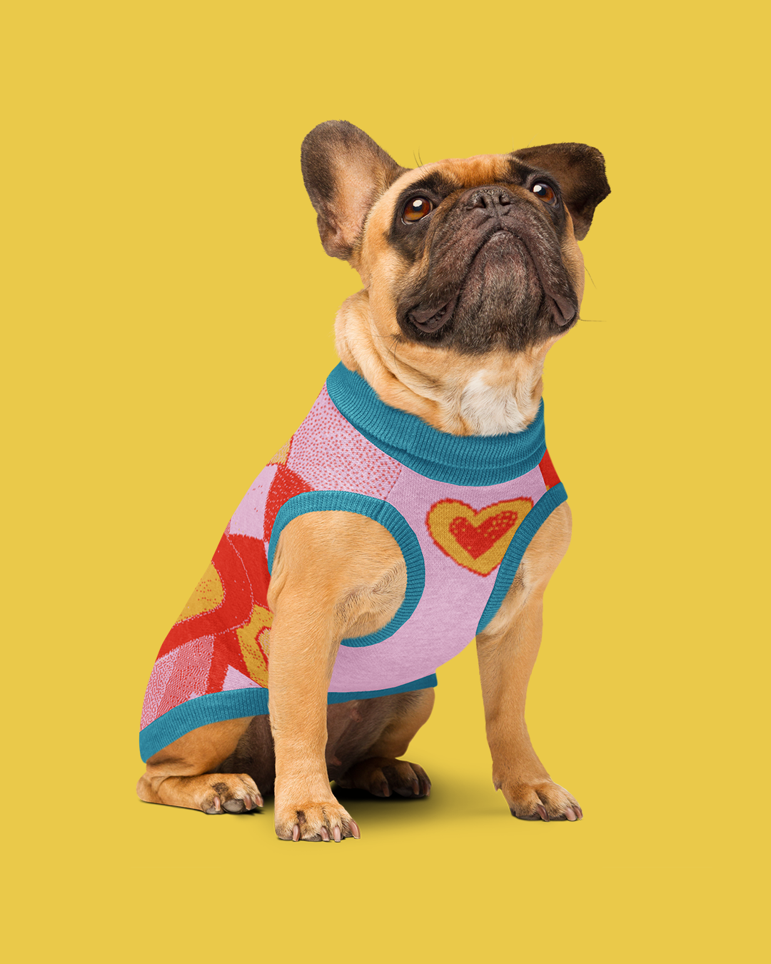 Jersei de punt per a mascotes - Imagen 5