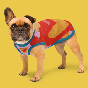 Jersei de punt per a mascotes