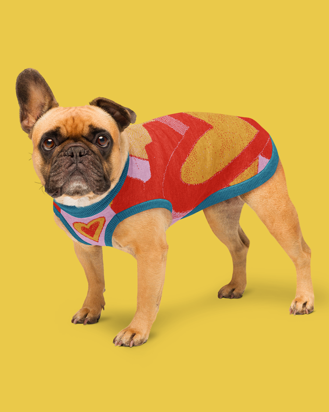 Jersei de punt per a mascotes