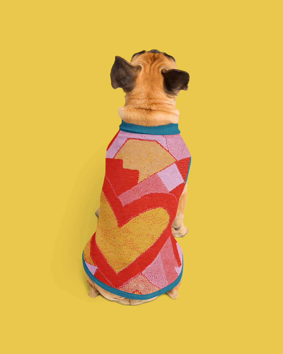 Jersei de punt per a mascotes - Imagen 6